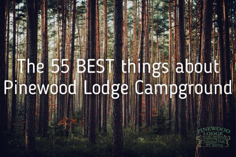 The 55 Best Things About Pinewood Lodge Campground – Pinewood Lodge ...